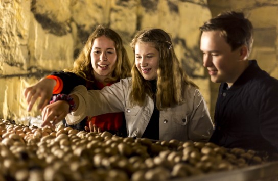 (vergroot foto)
