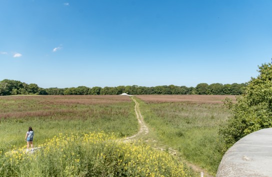 (vergroot foto)
