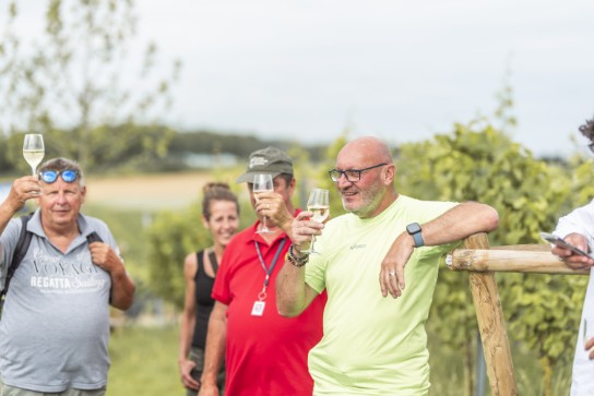 Groep mensen in een wijngaard, proostend met glazen wijn. (vergroot foto)